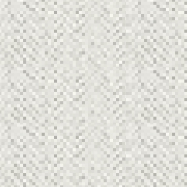 1681 Cotton Cloth (D)