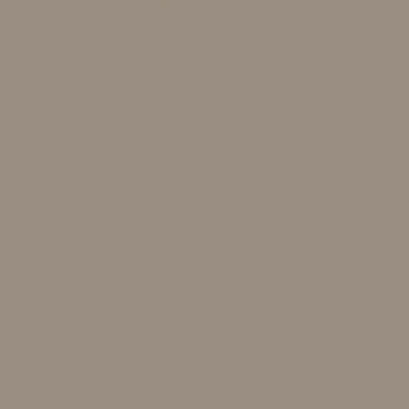 9096 Taupe